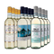 Pinot Grigio XXL: Gold-prämierte Hits im 3x4-Paket – Gold