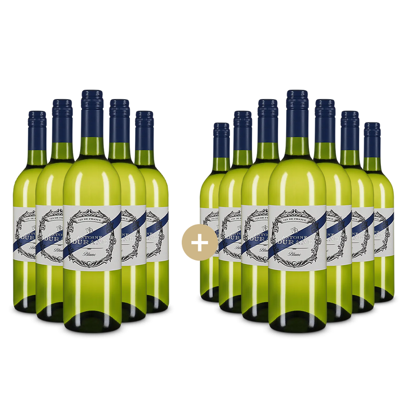 5+7 Flaschen Blanc 2024 – Gold