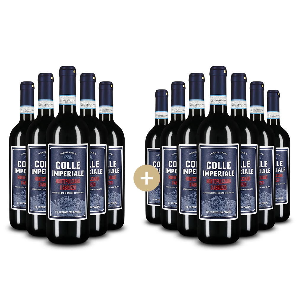 5+7 Flaschen Montepulciano d'Abruzzo 2024 – Gold