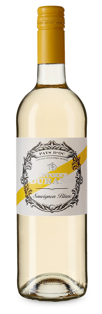 Antoine Durand Sauvignon Blanc 2024 – Gold
