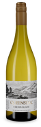 Chenin Blanc 2025