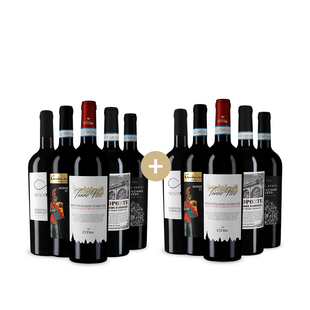 5+5 Flaschen Montepulciano d´Abruzzo: Unsere Favoriten – Gold