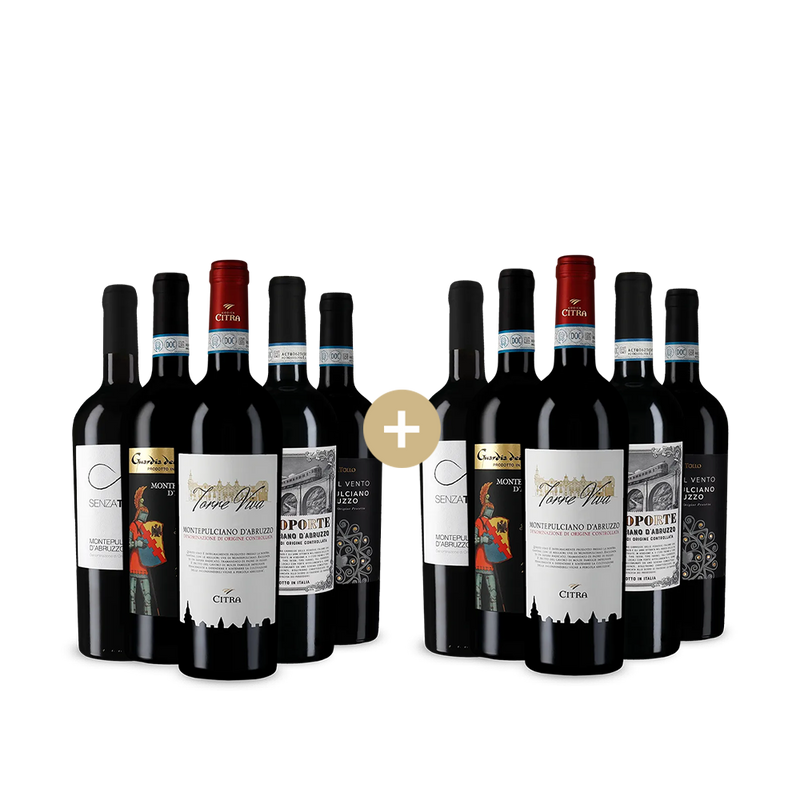 5+5 Flaschen Montepulciano d´Abruzzo: Unsere Favoriten – Gold