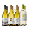 Internationale Sauvignon-Blanc-Hits im 4x2-Paket – Gold