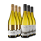 Sauvignon-Blanc-Duo aus Marlborough im 2x3-Vorteilspaket – Gold
