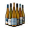 Exklusive Riesling-Hits im 6er-Paket – Gold
