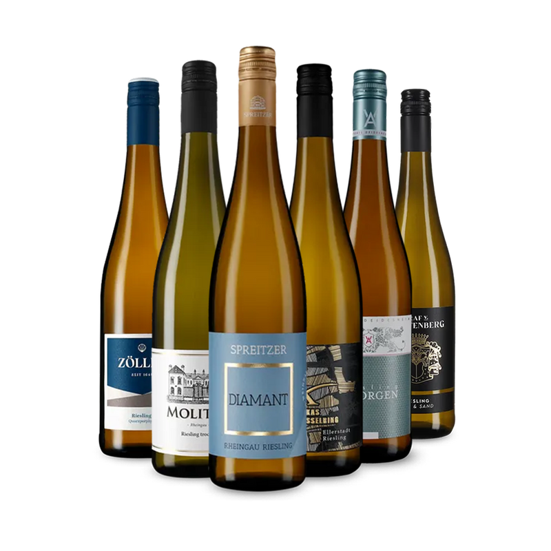 Exklusive Riesling-Hits im 6er-Paket – Gold