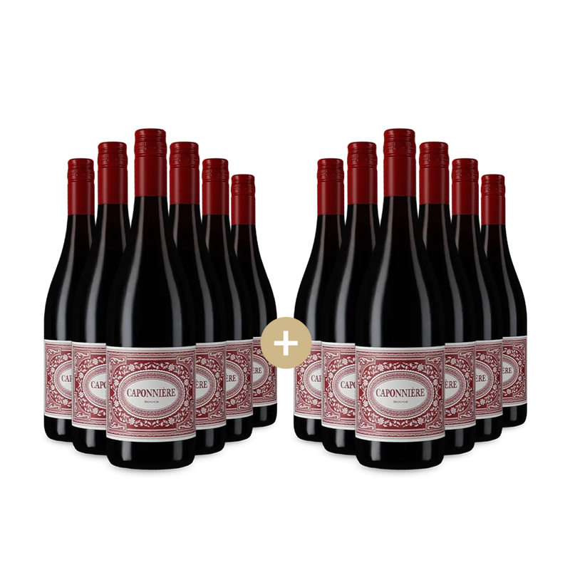 6+6 Flaschen Rouge 2023 – Gold
