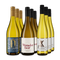 Gold-prämierte Grauburgunder-Hits im 3x3-Paket – Gold