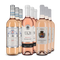 Italienische Rosé-Hits im 3x3-Paket – Gold