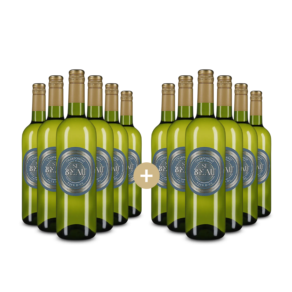 6+6 Flaschen Chardonnay 2024 – Gold