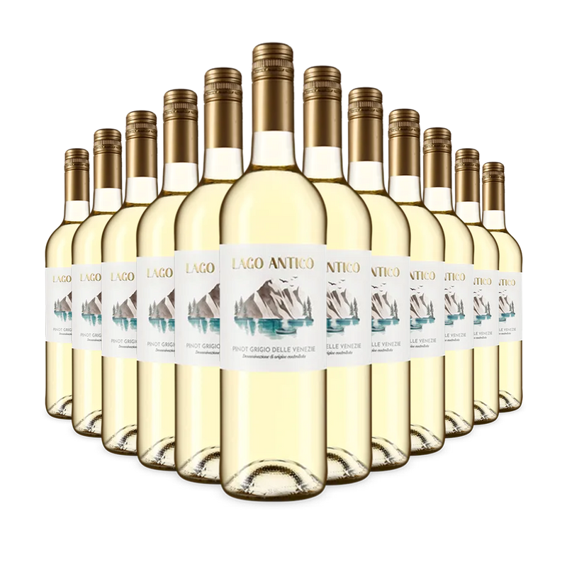 12 Flaschen Pinot Grigio delle Venezie 2024 – Gold
