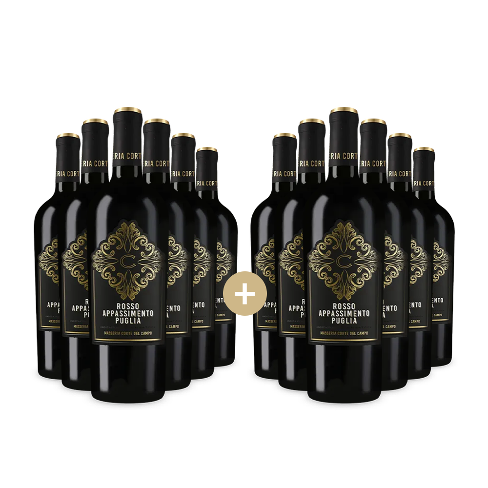 6+6 Flaschen Rosso Appassimento Puglia 2023 – Gold