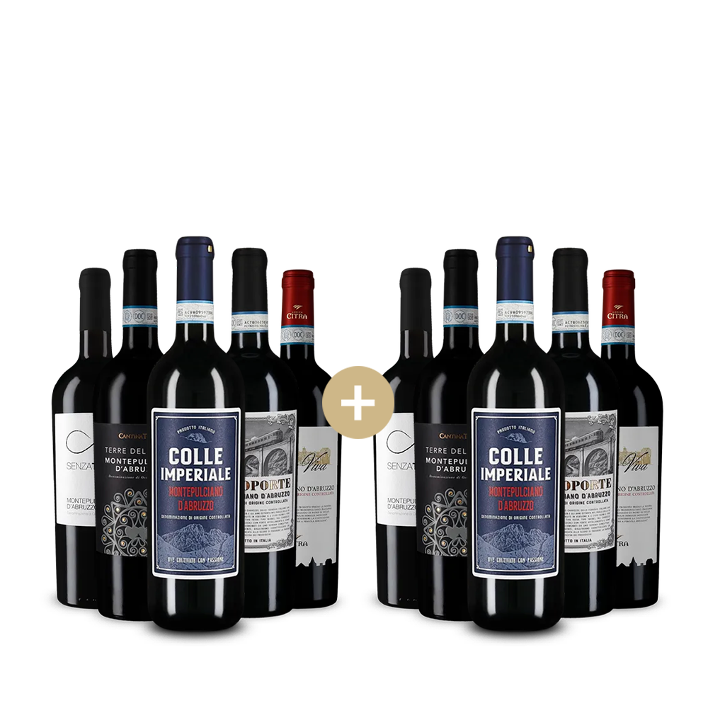 5+5 Flaschen Montepulciano d´Abruzzo: Unsere Favoriten – Gold