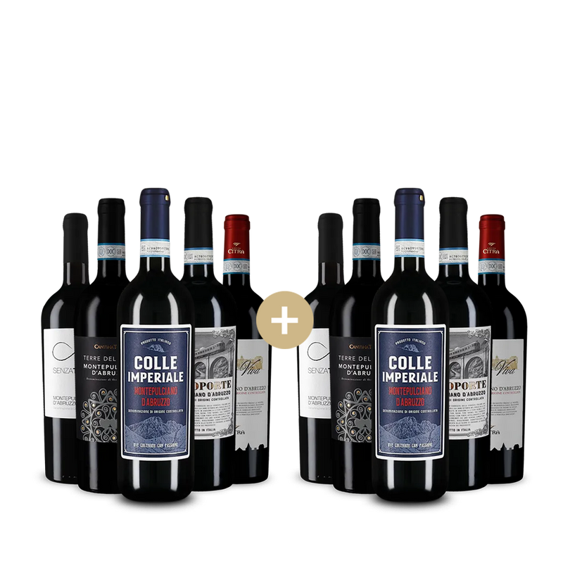 5+5 Flaschen Montepulciano d´Abruzzo: Unsere Favoriten – Gold