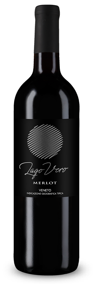 Merlot Veneto 2025