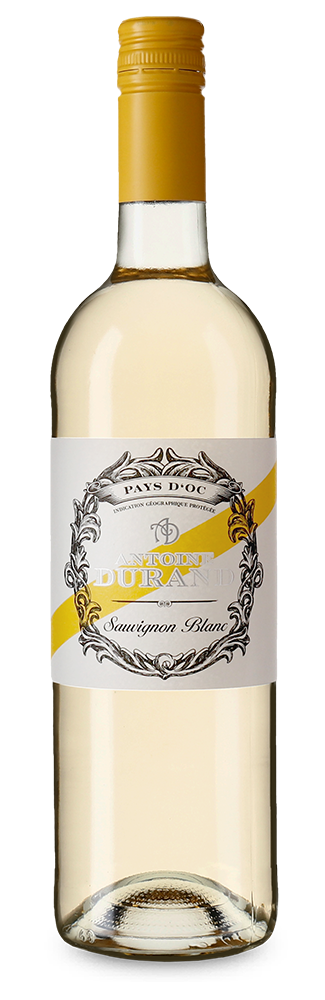 Sauvignon Blanc 2025