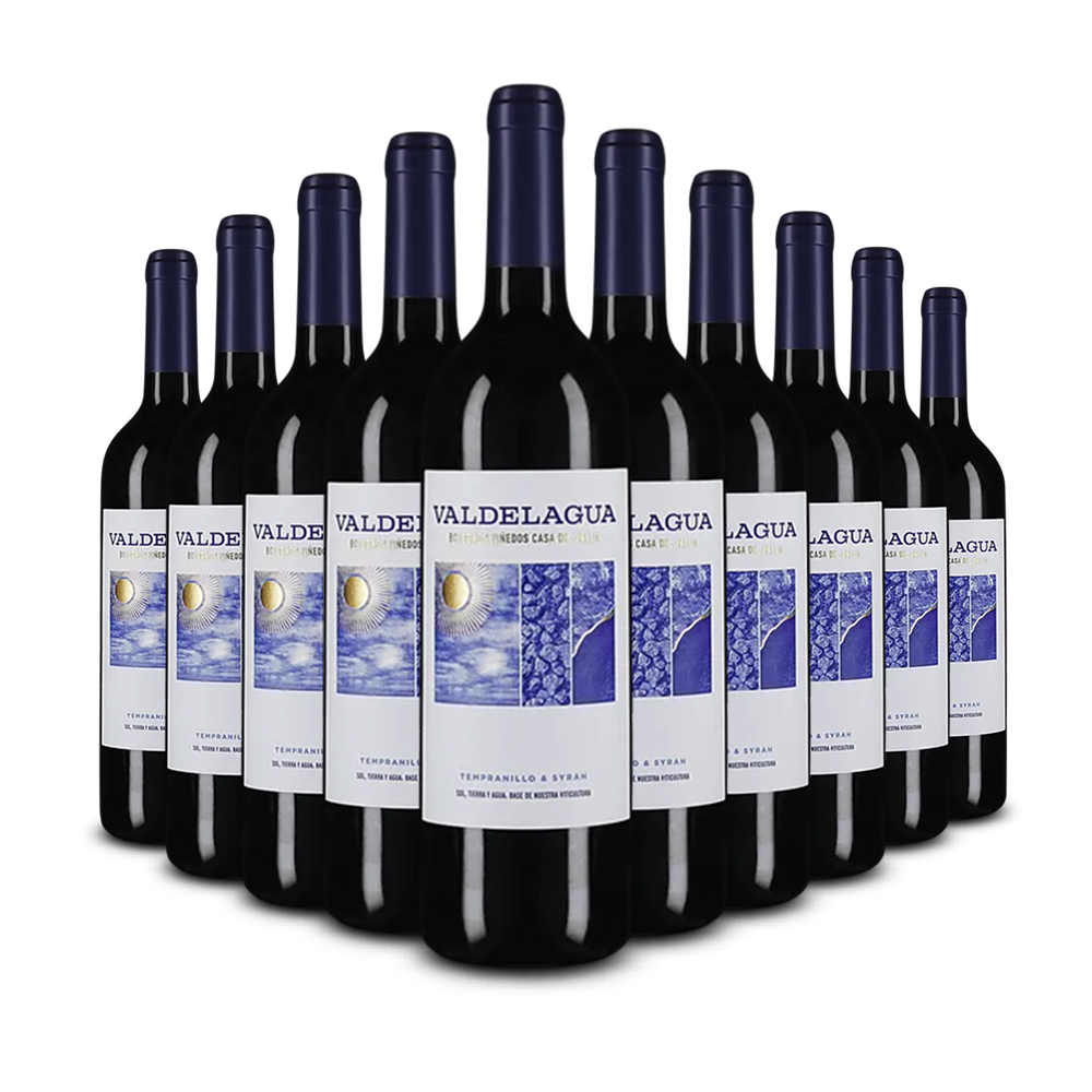 10 Flaschen Valdelagua Tempranillo & Syrah 2024 – Gold