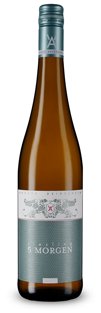 Riesling 5 Morgen trocken 2025