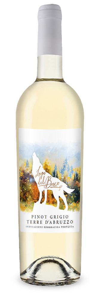 Cantina Tollo Lupo del Bosco Pinot Grigio 2025 – Gold