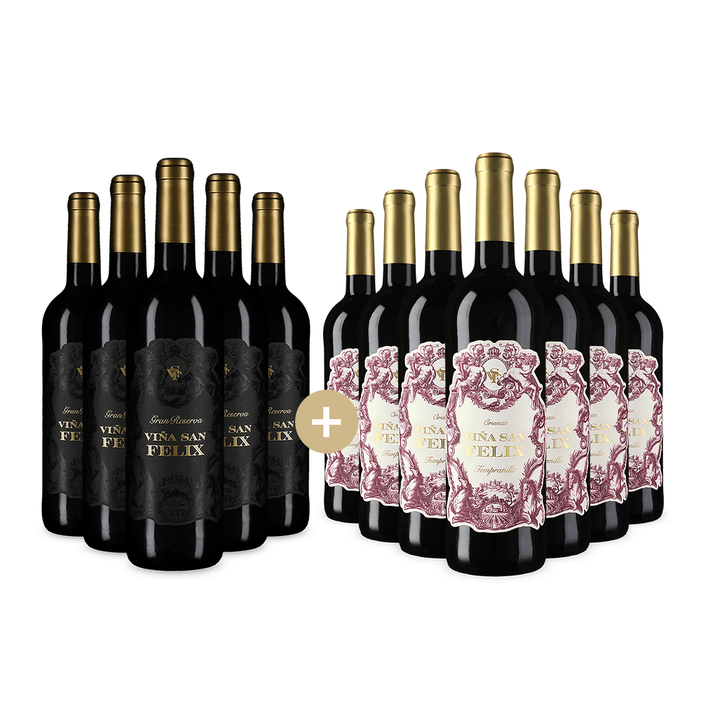 5+7 Flaschen: Spanien-Duo von Viña San Felix – Gold