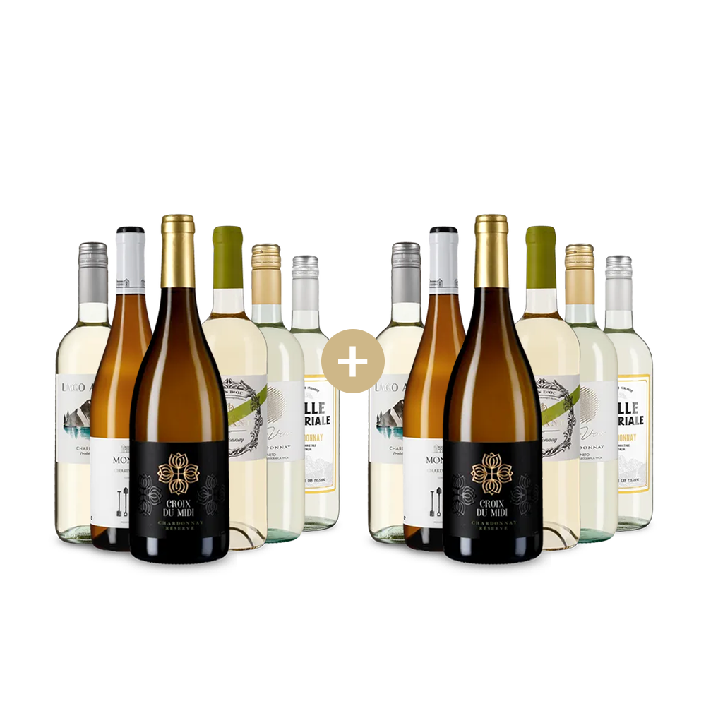 6+6 Flaschen südeuropäische Chardonnay-Hits – Gold