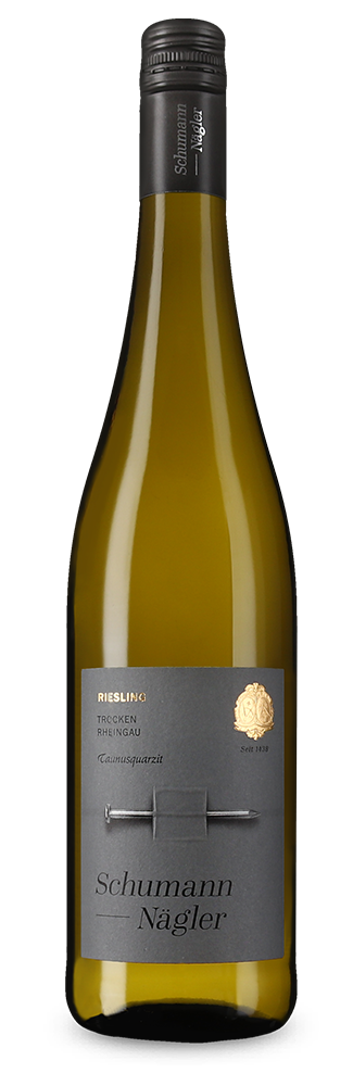 Riesling Taunusquarzit trocken 2025