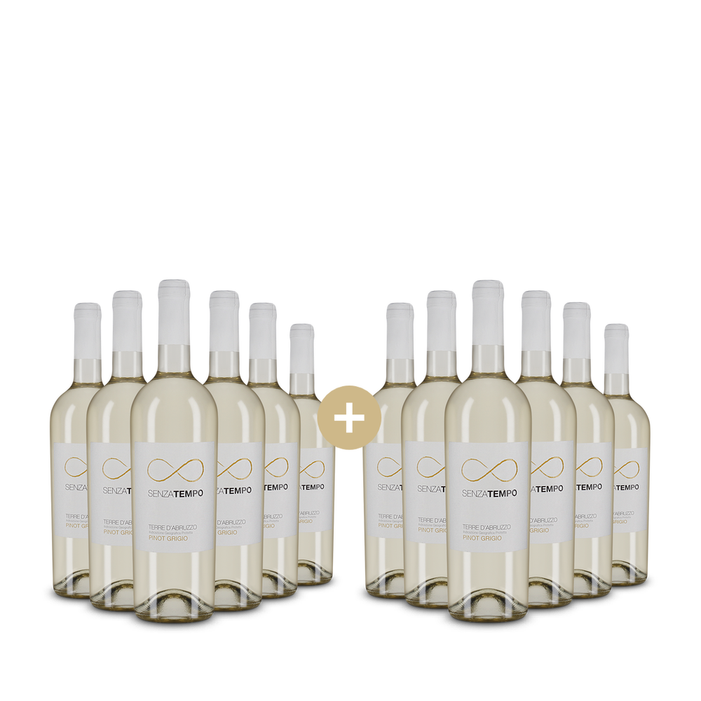 6+6 Flaschen Senza Tempo Pinot Grigio 2025 – Gold