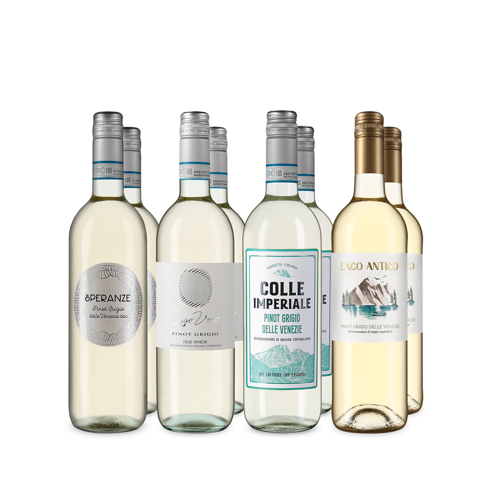 Pinot Grigio delle Venezie im 4x2-Vorteilspaket – Gold