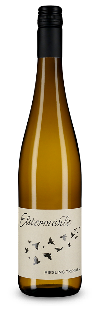 Riesling trocken 2025