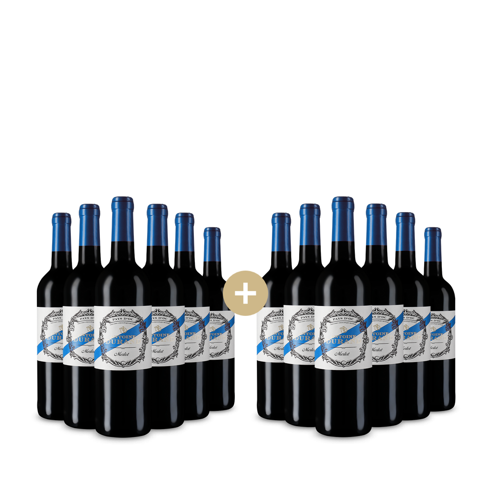 6+6 Flaschen Merlot 2024