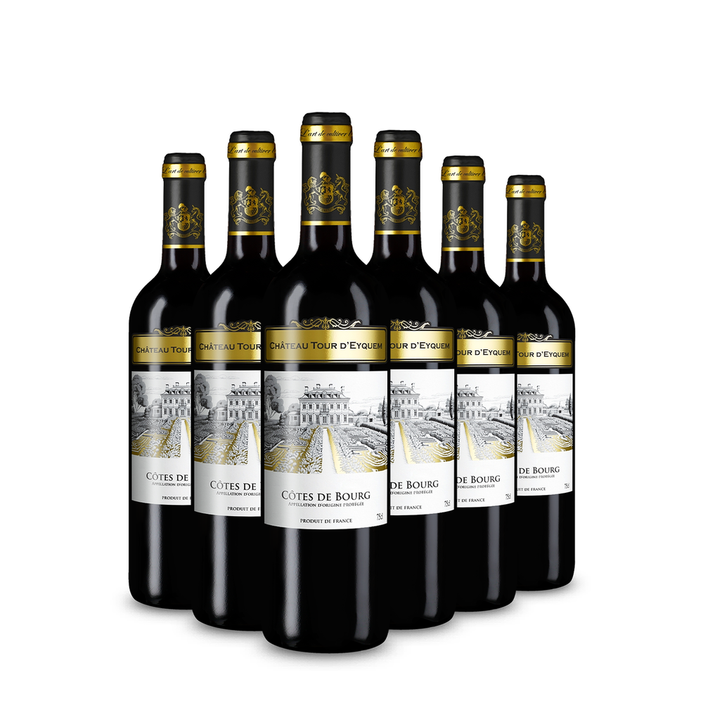 6x Côtes de Bourg 2022