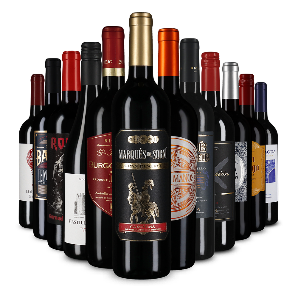 12x1 Rotwein-Highlights aus Spanien