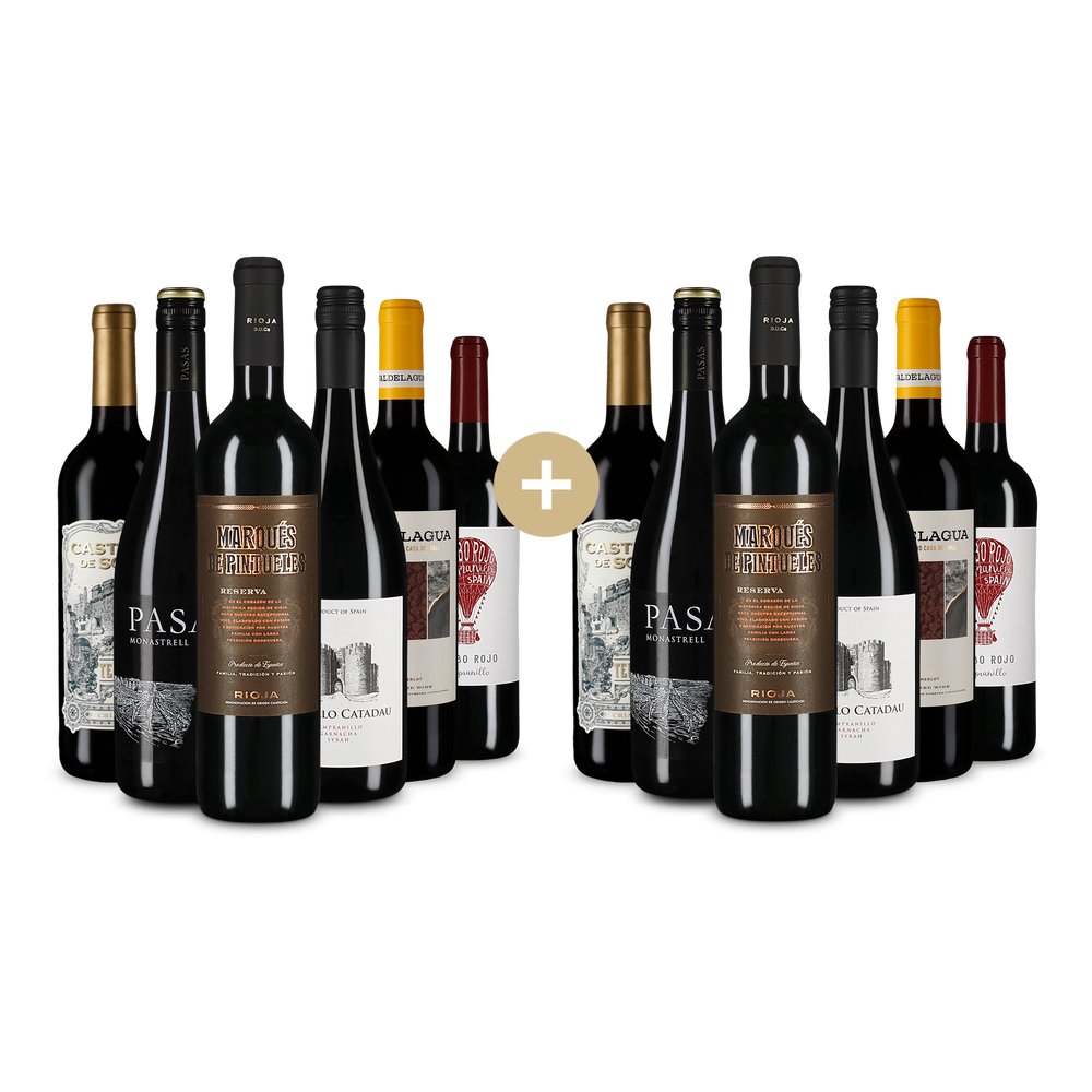 6+6 gratis: Tinto Favoriten zum Vorteilspreis