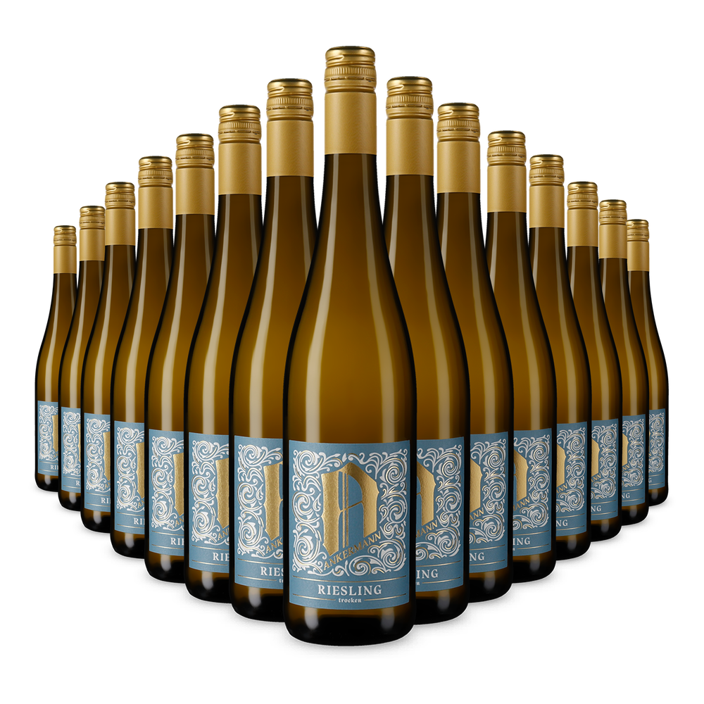 15x Riesling trocken 2025