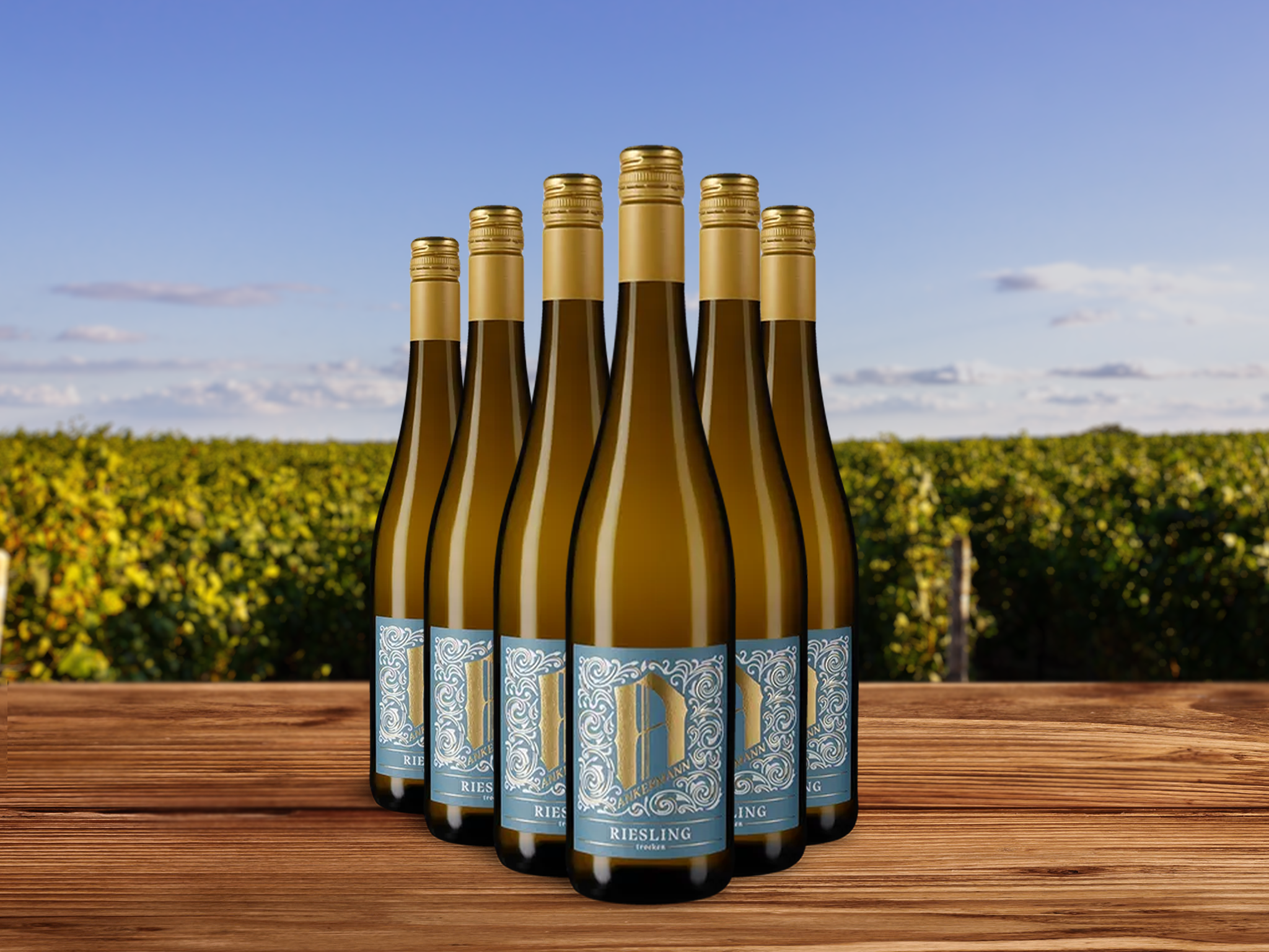6 Flaschen Riesling 2024