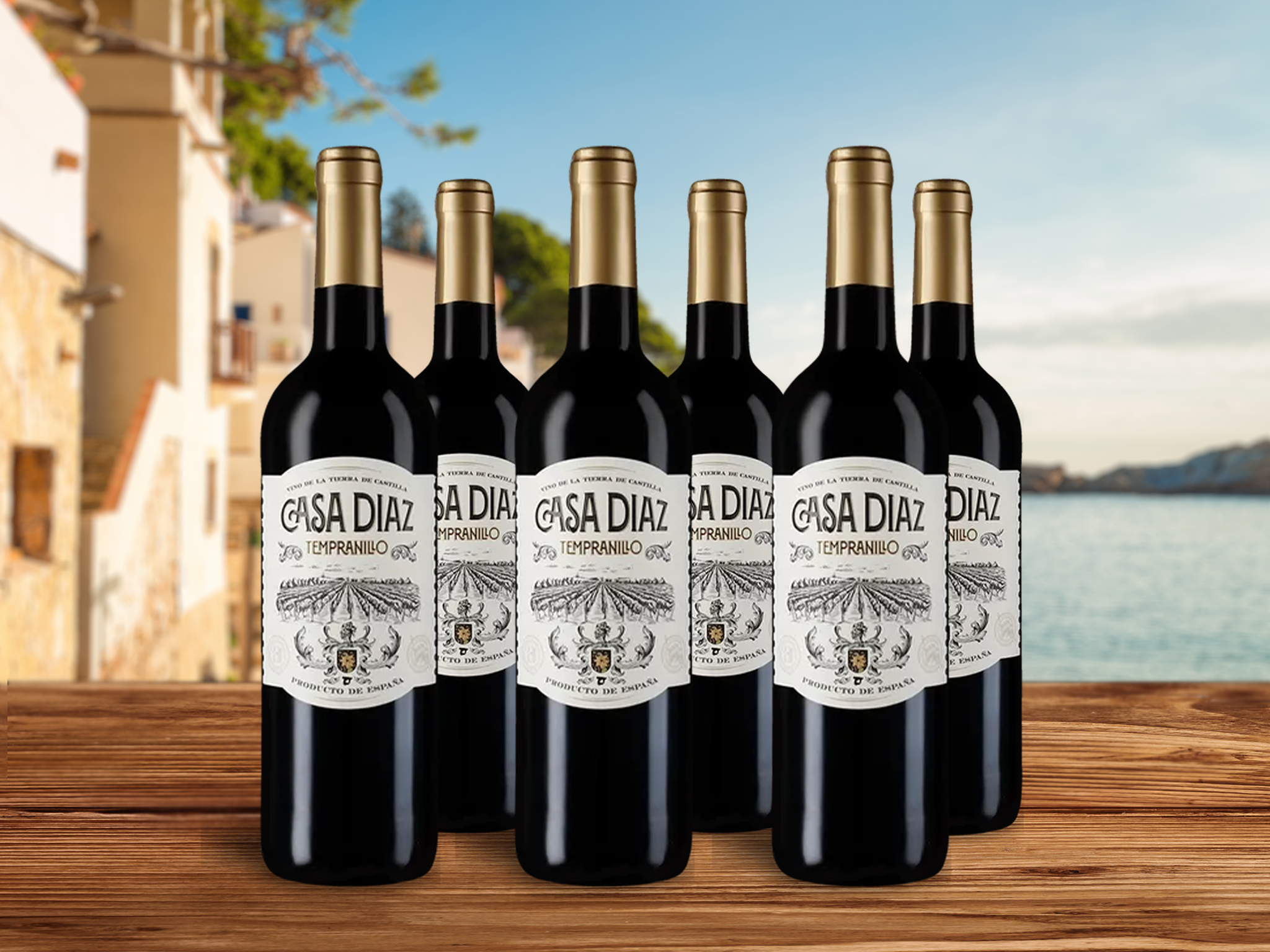 6 Flaschen Tempranillo 2023