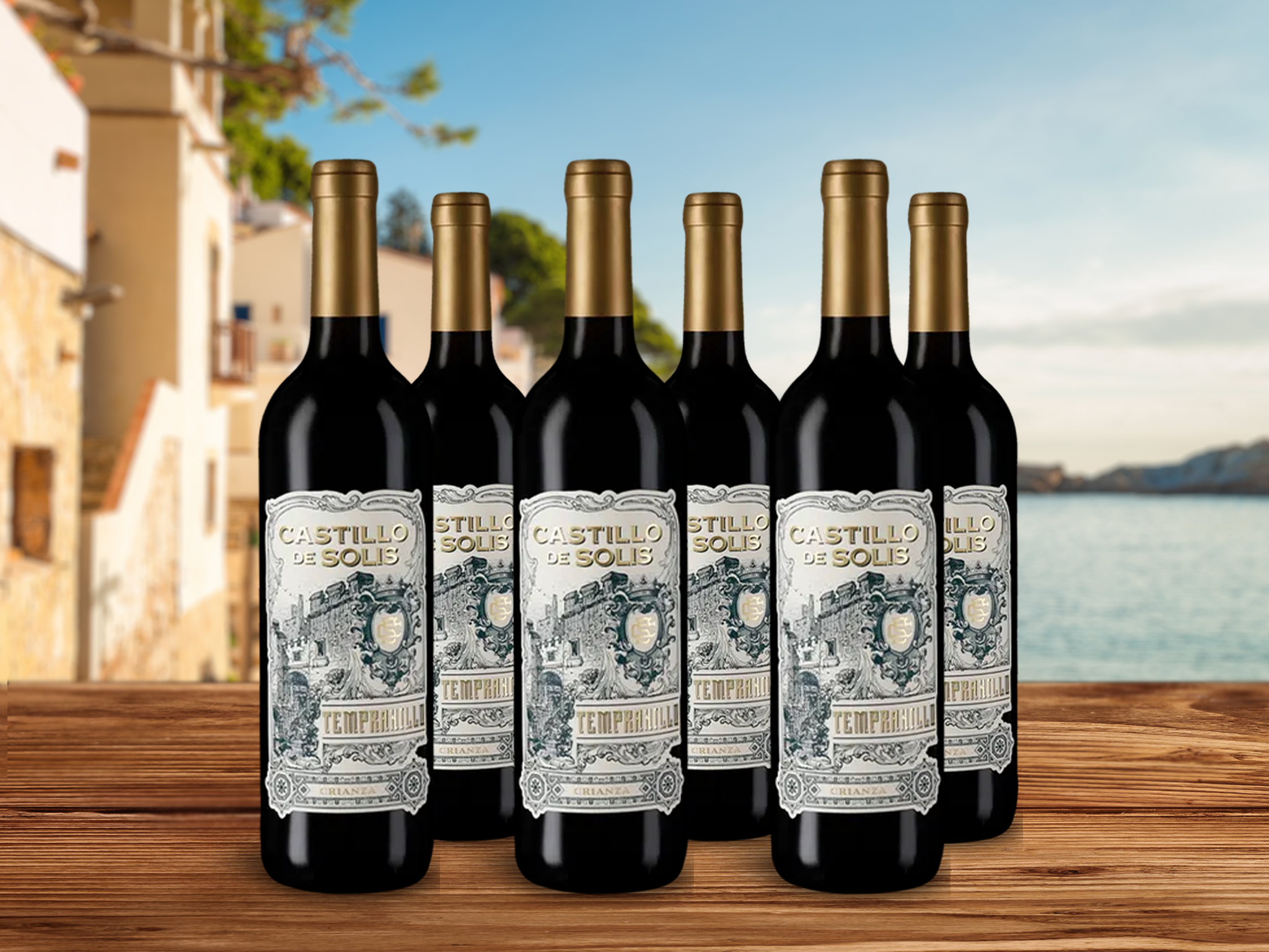 6 Flaschen Tempranillo Crianza 2020
